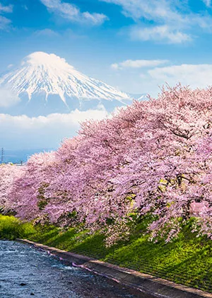 Isil Textile Spring Summer Collection