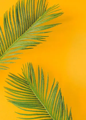 Isil Textile Spring Summer Collection